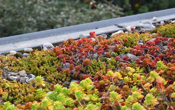 the cost of Soberton Heath green roof installation