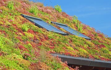 Soberton Heath living roof systems