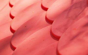 Soberton Heath plastic roof costs