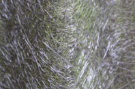 Soberton Heath fibreglass roof work